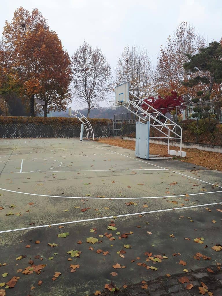 Outdoor basketball court in autumn, symbolizing the enduring legacy of the Best Utah Basketball Players who excelled as Utes.