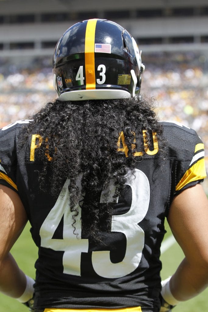 Troy Polamalu of the Pittsburgh Steelers, viewed from behind with his iconic No. 43 jersey and flowing hair.