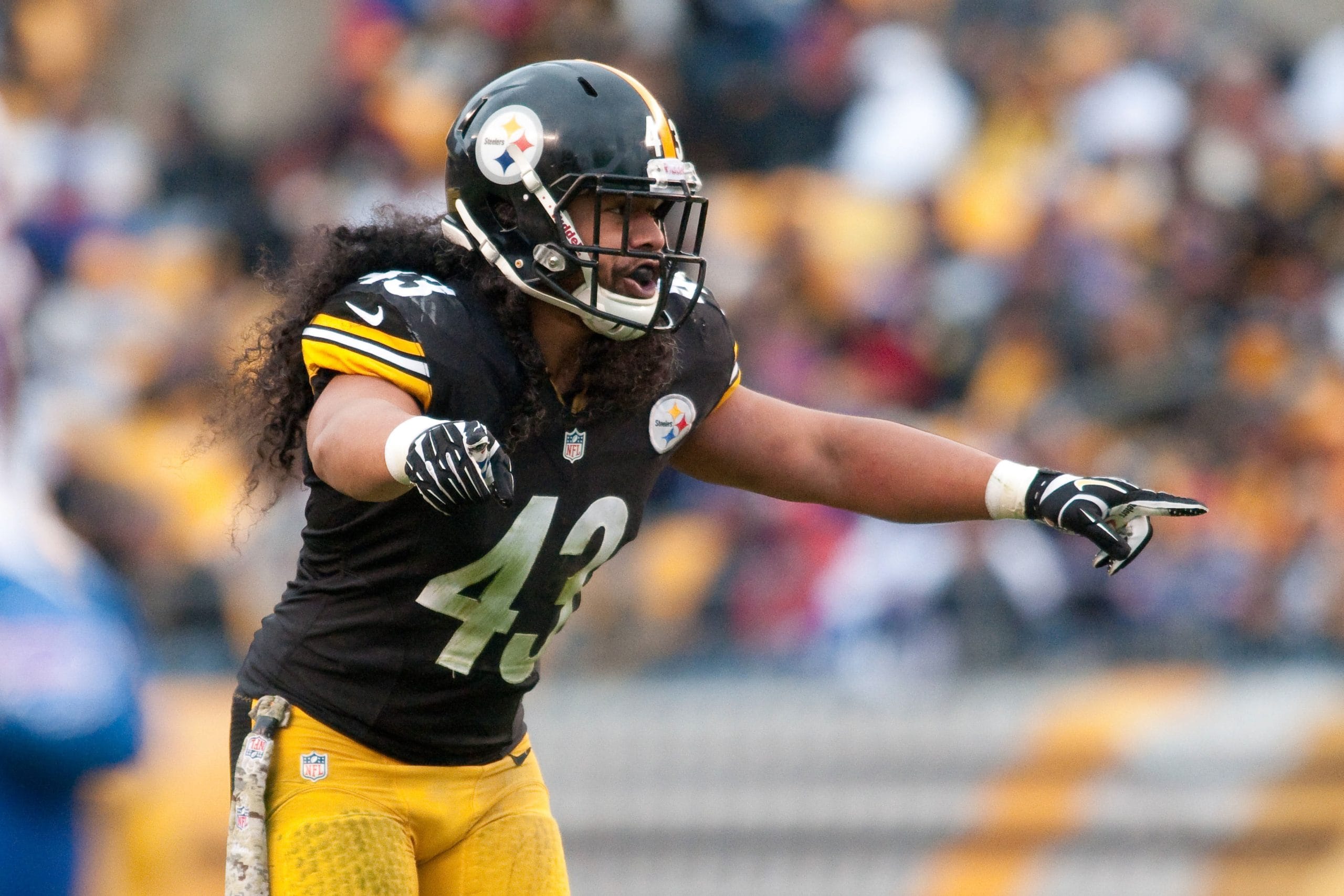 Pittsburgh Steelers safety Troy Polamalu pointing on the field during a game.