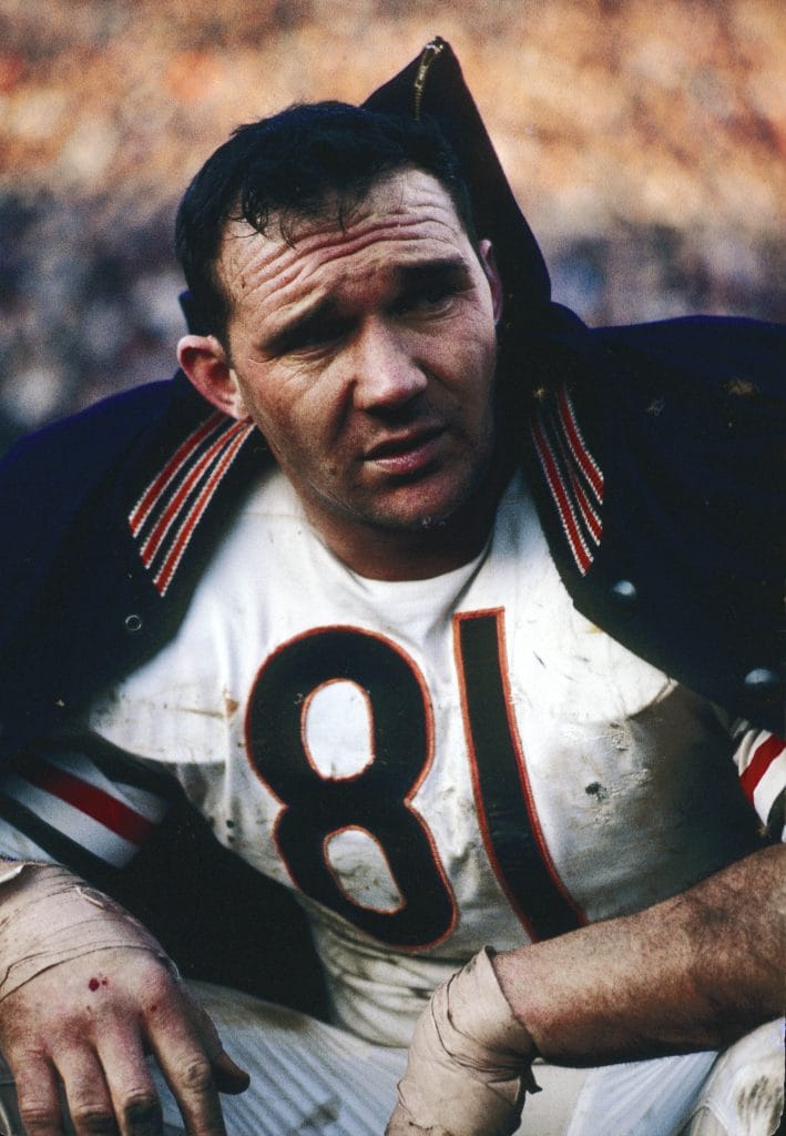 Doug Atkins, one of the best white defensive ends in NFL history, takes a breather on the sidelines during a game for the Chicago Bears.